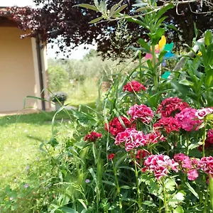 Bed & Breakfast A La Maison